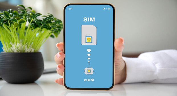 Sự Thật Về ESim Là Gì? Cách đăng Ký Và Sử Dụng ESim ở Việt Nam